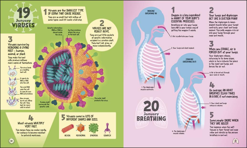 5 Facts a Day Science