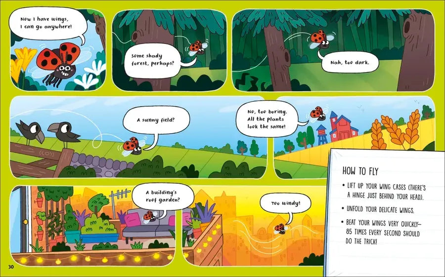 How to Be a Ladybug US - Book