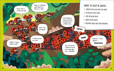 How to Be a Ladybug US - Book