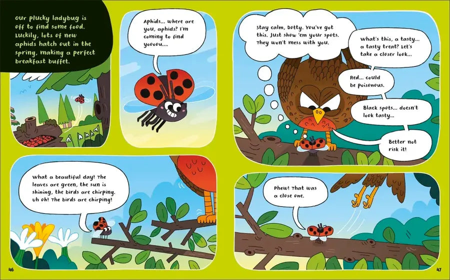How to Be a Ladybug US - Book