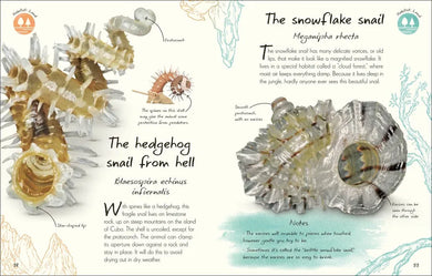 An Anthology of Shells US - Hardback