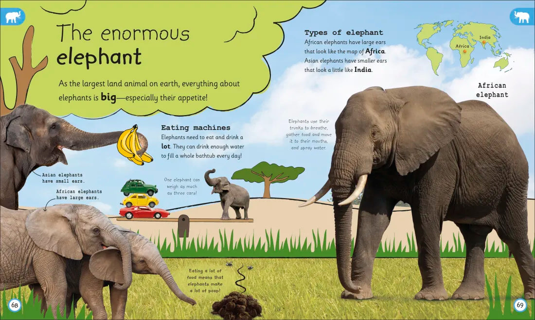 My Encyclopedia of Very Important Animals US - Hardback