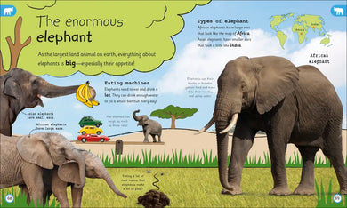 My Encyclopedia of Very Important Animals US - Hardback