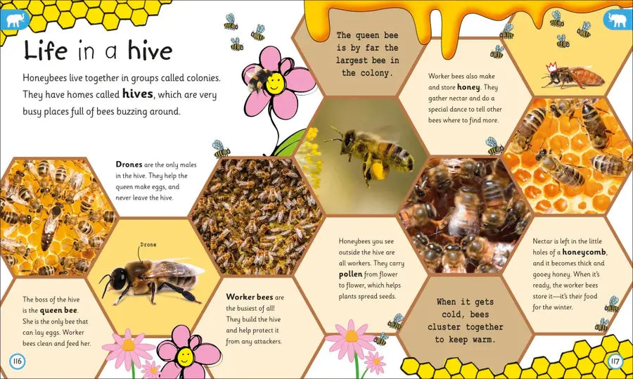 My Encyclopedia of Very Important Animals US - Hardback