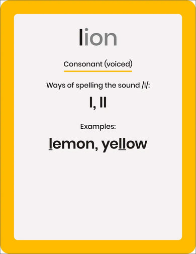 Phonic Books Dandelion 44 Sounds Cards US - Cards