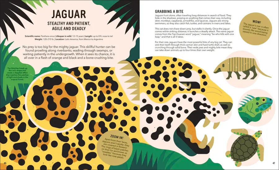 Zoom Out Natural World US - Hardback