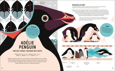 Zoom Out Natural World US - Hardback