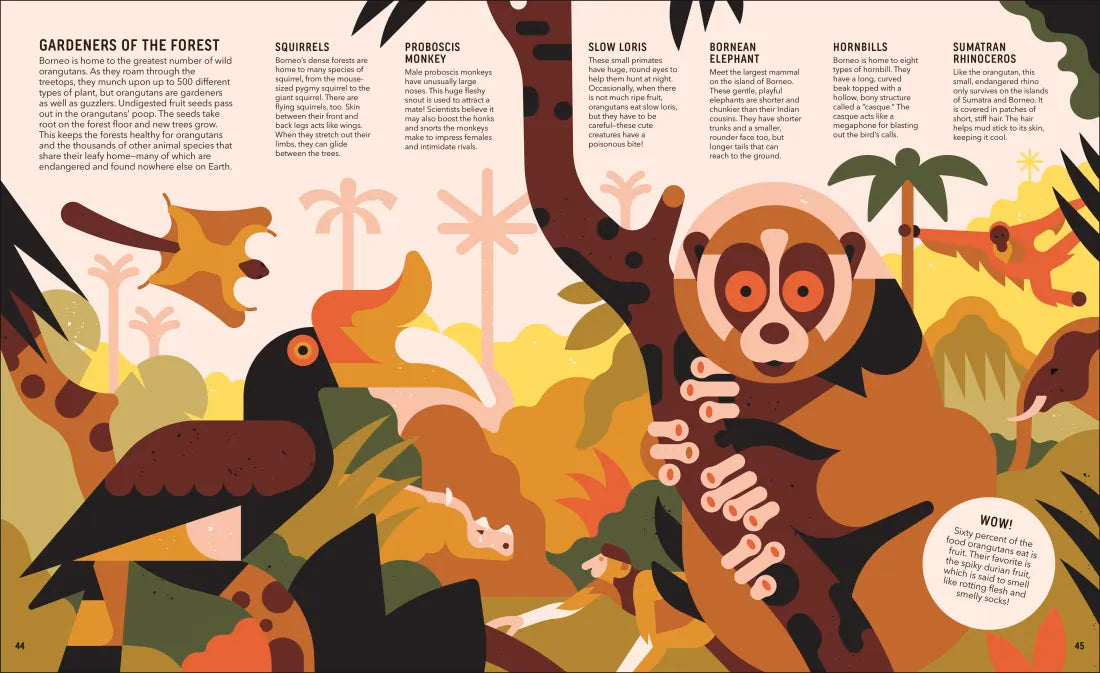 Zoom Out Natural World US - Hardback