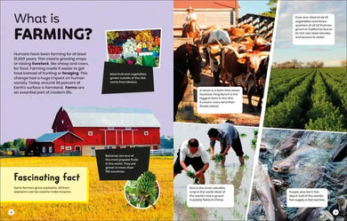 DK Super Planet Farming and Food Security US - Paperback / softback