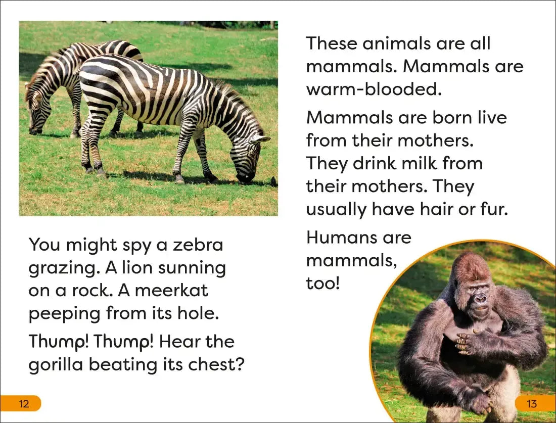 DK Super Readers Level 1 A Trip to the Zoo US - Hardback