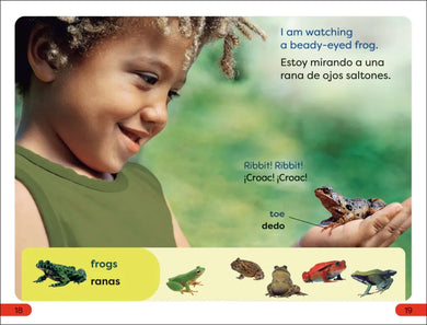 DK Super Readers Pre-Level Spanish Bilingual A Day at the Petting Zoo – Un día en el zoológico interactivo US - Paperback / softback