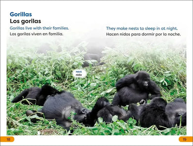 DK Super Readers Level 1 Spanish Bilingual Jungle Animals – Animales de la selva US - Paperback / softback