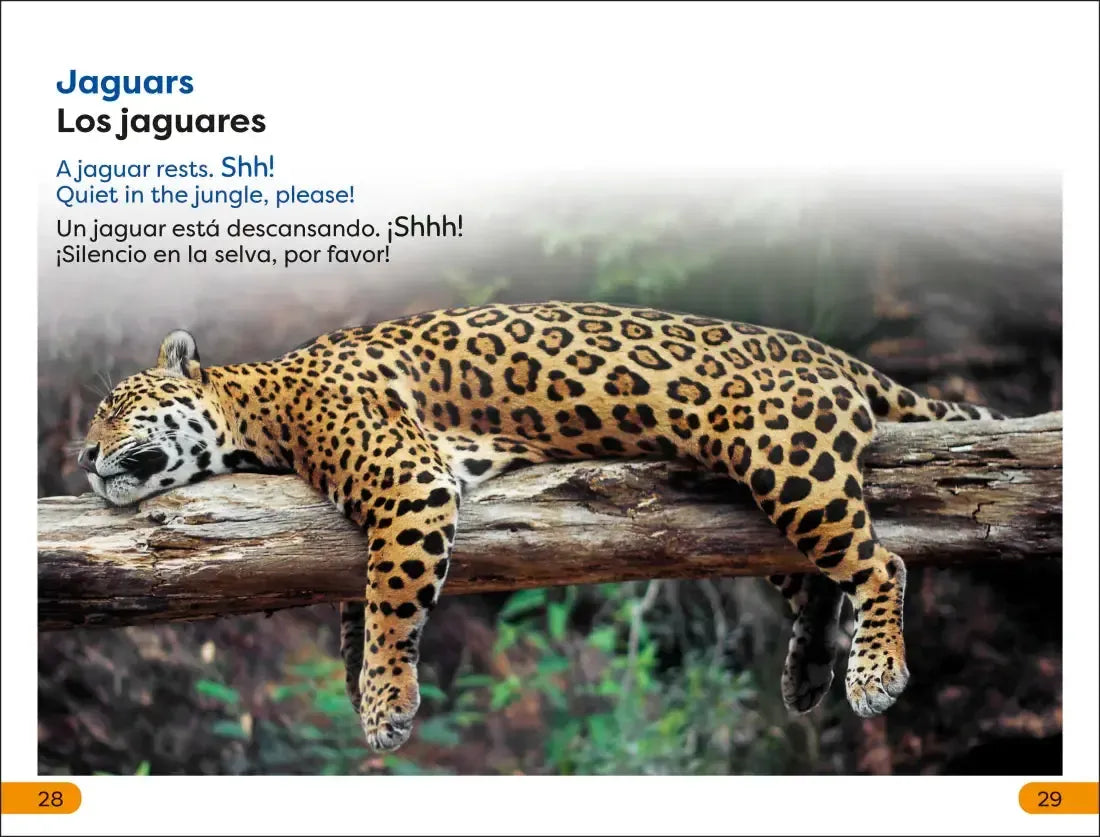 DK Super Readers Level 1 Spanish Bilingual Jungle Animals – Animales de la selva US - Paperback / softback