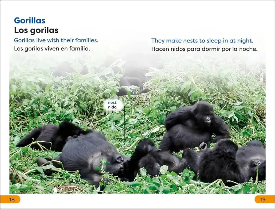 DK Super Readers Level 1 Spanish Bilingual Jungle Animals – Animales de la selva US - Hardback