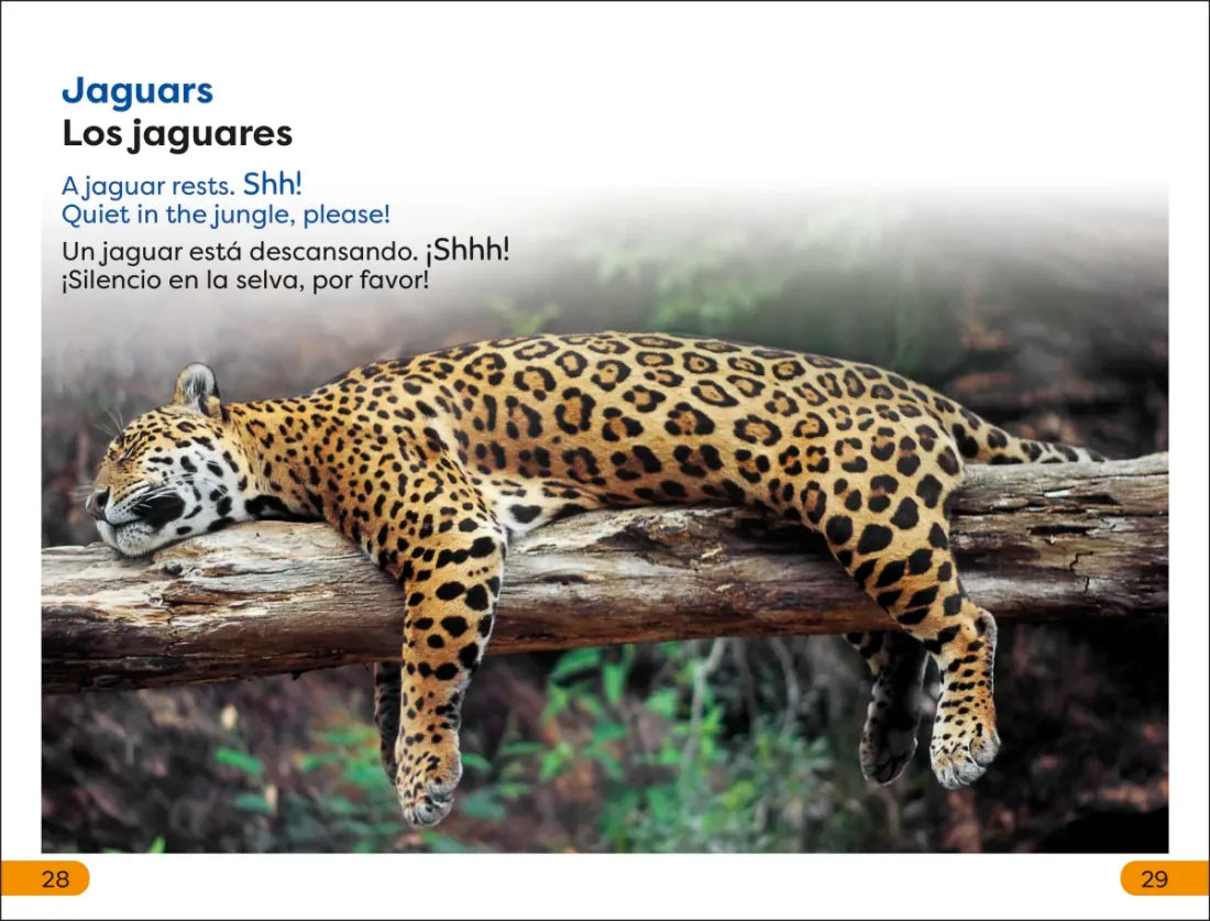 DK Super Readers Level 1 Spanish Bilingual Jungle Animals – Animales de la selva US - Hardback