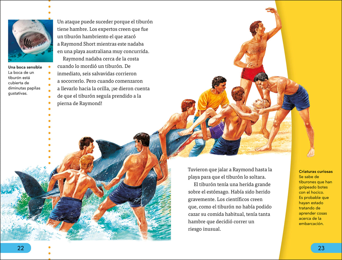DK Super Readers Level 4 Spanish Translation Shark Attach - Ataques de tiburones interior 4 (ISBN 9780593966662)