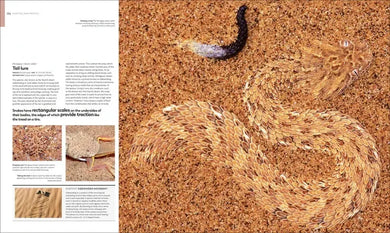 Animal Behavior US - Hardback