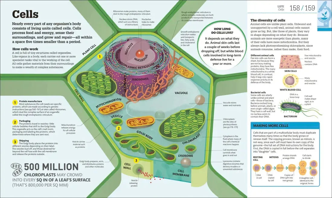 How Science Works US - Hardback