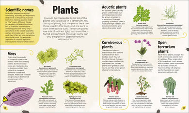 Magical Miniature Worlds US - Hardback