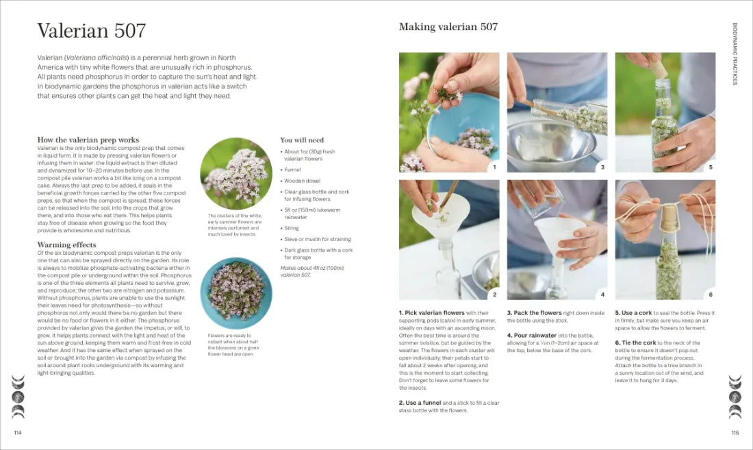Biodynamic Gardening US - Hardback