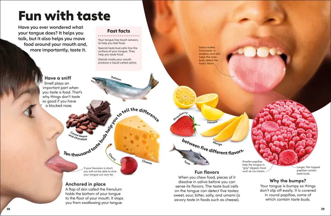 Eyewonder Human Body US - Hardback