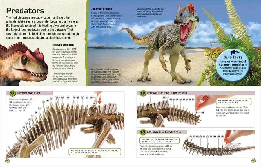 Make Your Own Stegosaurus US - Hardback