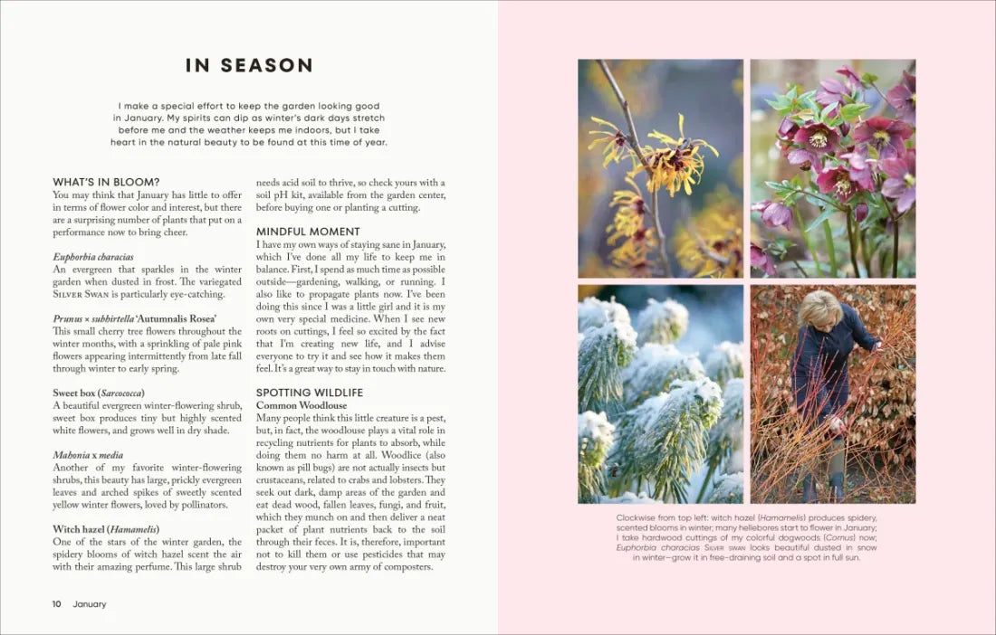 The Money-Saving Garden Year US - Hardback