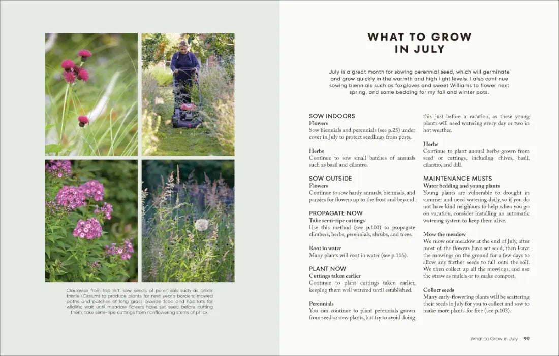 The Money-Saving Garden Year US - Hardback