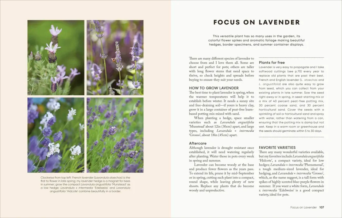 The Money-Saving Garden Year US - Hardback