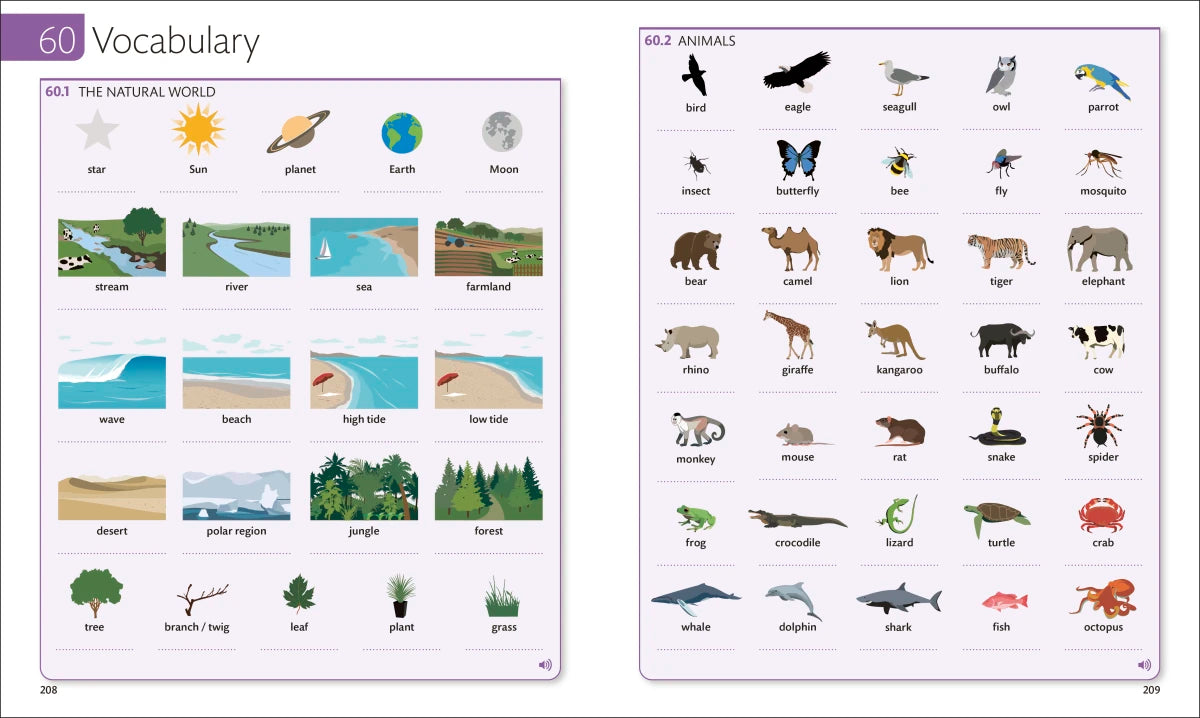 English for Everyone Course Book Level 3 Intermediate US - Book