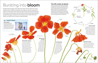 Eyewitness Plant US - Hardback