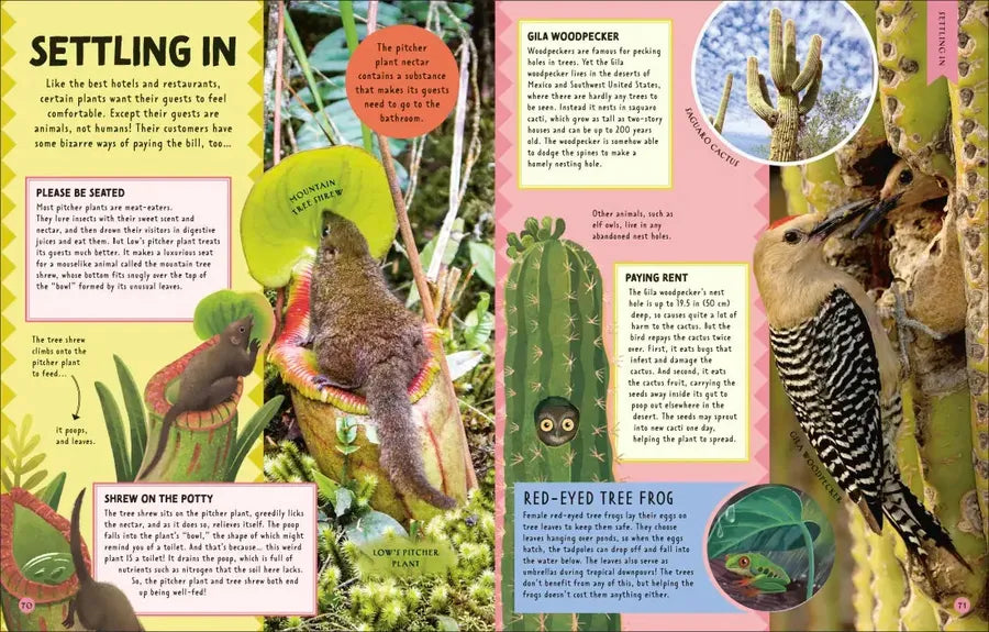 Animal Partnerships US - Hardback