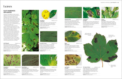 Pests and Diseases US - Hardback