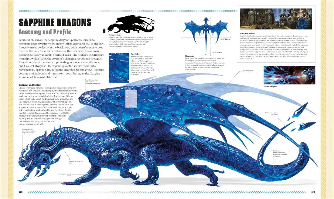 Dungeons and Dragons The Book of Dragons US - Hardback