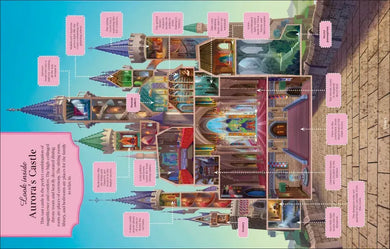 Disney Princess Enchanted Worlds US - Hardback