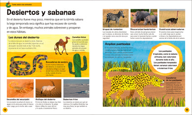 La oruga muy hambrienta Mi primera enciclopedia de animales (The Very Hungry Caterpillar's Very First Animal Encyclopedia) interior 1 (ISBN 9780593970638)