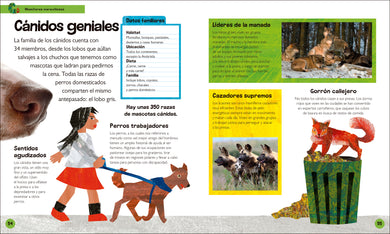 La oruga muy hambrienta Mi primera enciclopedia de animales (The Very Hungry Caterpillar's Very First Animal Encyclopedia) interior 3 (ISBN 9780593970638)