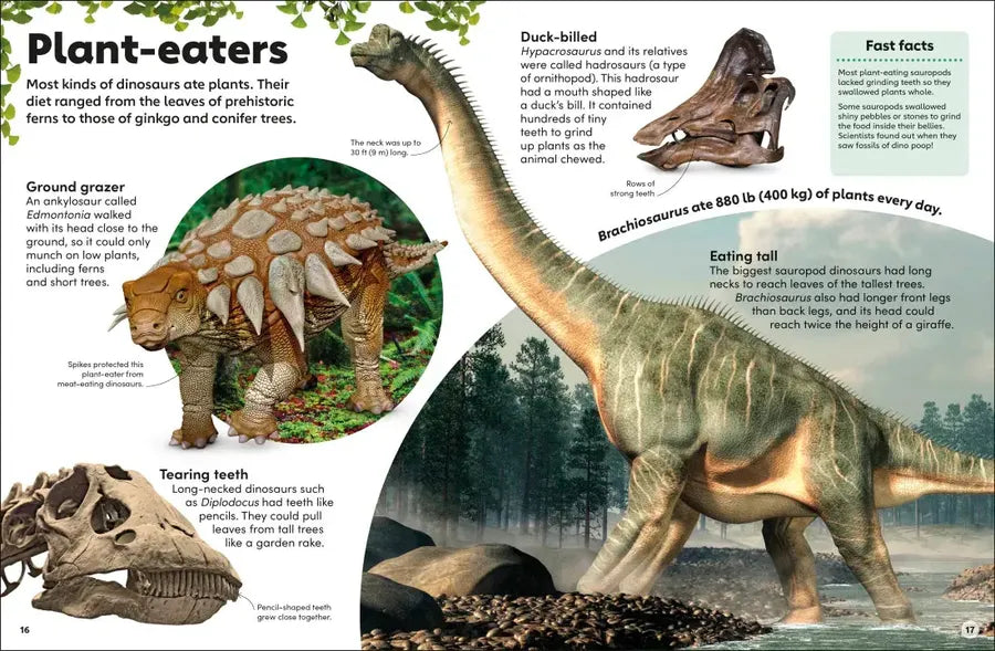 Eyewonder Dinosaurs US - Hardback