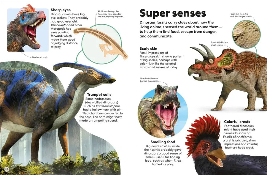 Eyewonder Dinosaurs US - Hardback