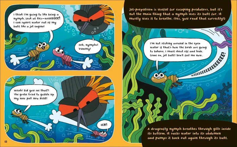 How to be a Dragonfly US - Book