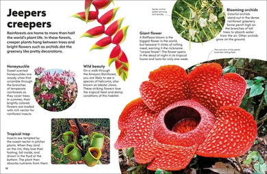 Eyewonder Rainforest US - Hardback
