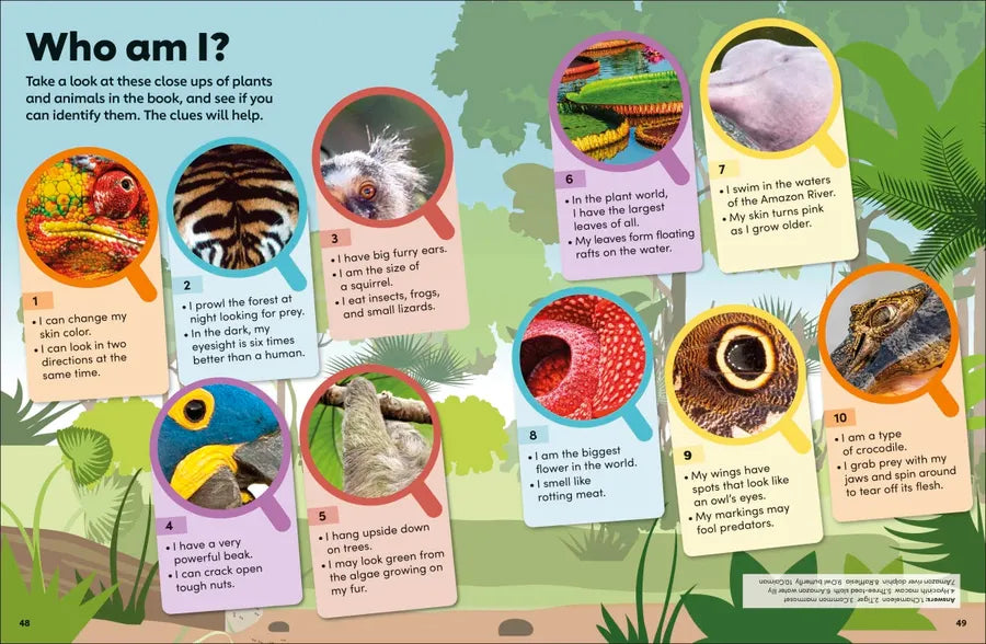 Eyewonder Rainforest US - Hardback