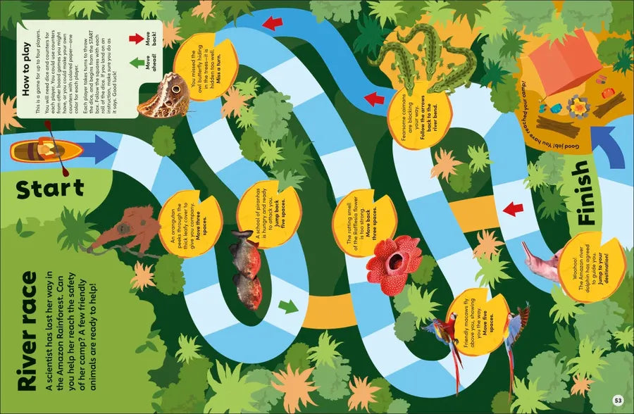 Eyewonder Rainforest US - Hardback