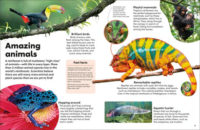 Eyewonder Rainforest US - Hardback