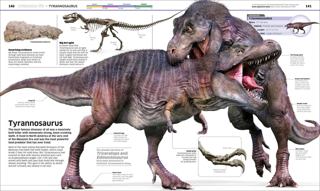 Knowledge Encyclopedia Dinosaur! US - Hardback (9780593972151)