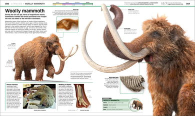 Knowledge Encyclopedia Dinosaur! US - Hardback (9780593972151)