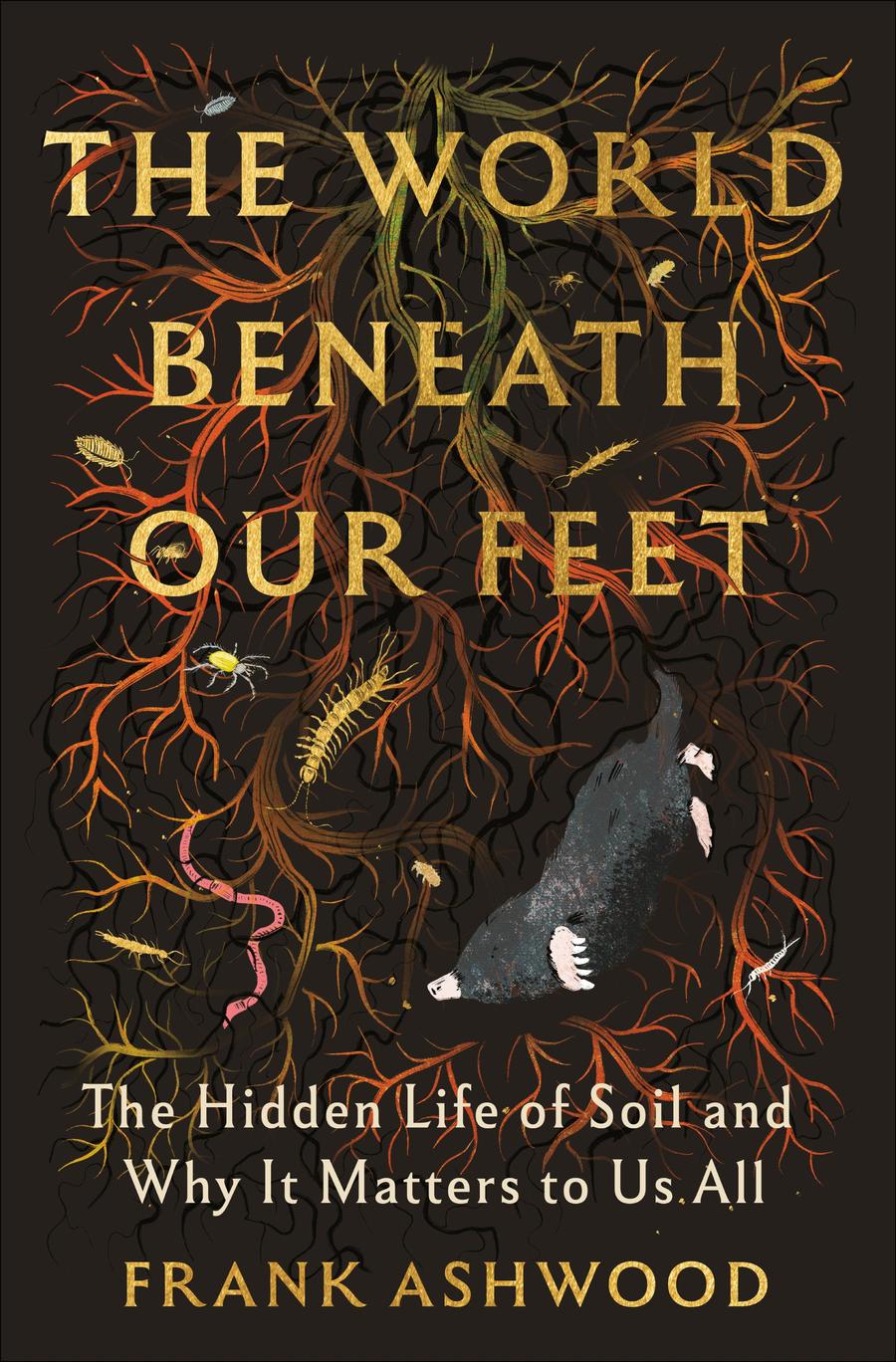The World Beneath Our Feet-Earth Sciences/ Geography/ Environment/ Planning-買書書 BuyBookBook