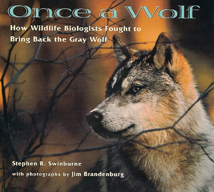 Once a Wolf-Children’s / Teenage general interest: Nature and animals-買書書 BuyBookBook
