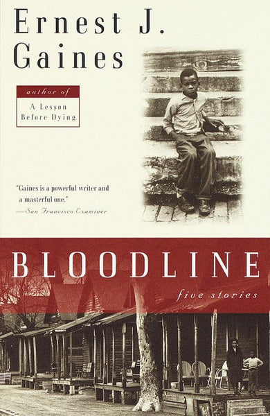 Bloodline-Fiction: general and literary-買書書 BuyBookBook