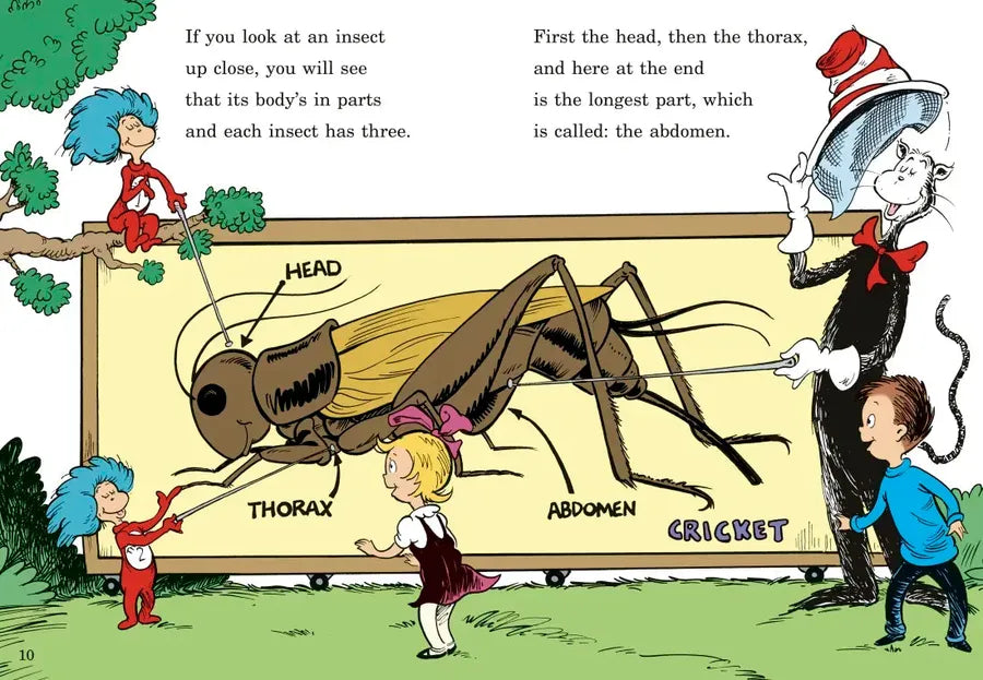 On Beyond Bugs! All About Insects US - Hardback (9780679873037)